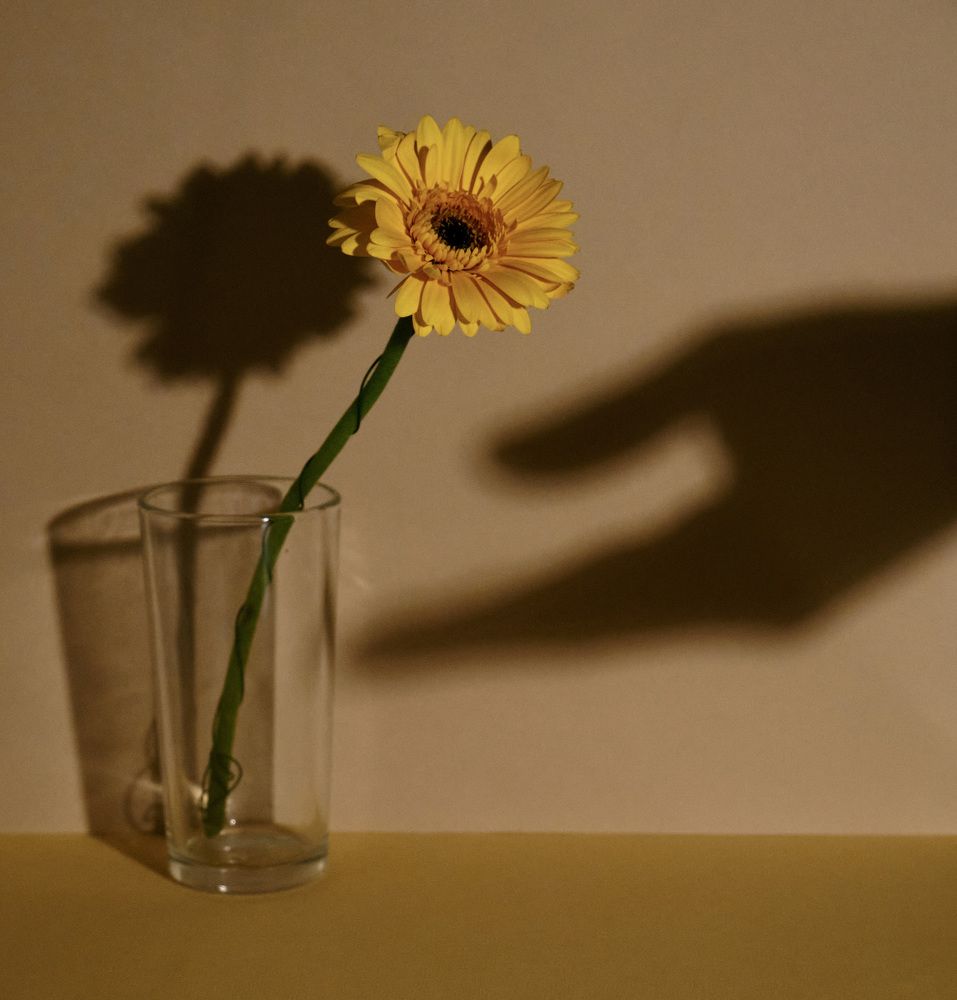 Photograph by Julia Grauberger