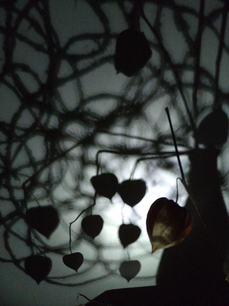 Photograph by Анна Козинова