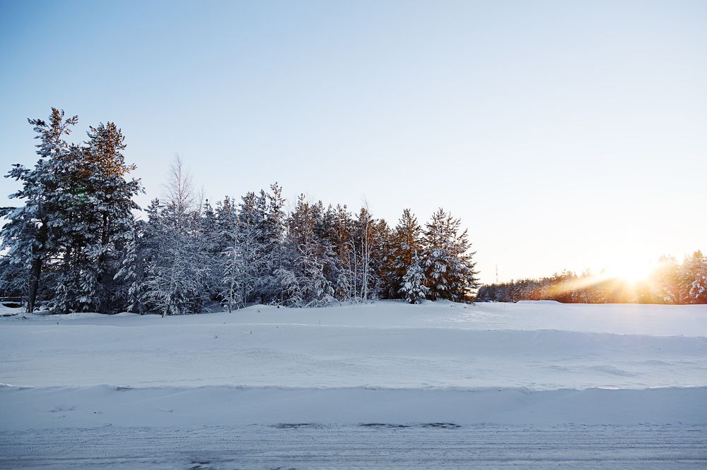 Photograph by Михаил