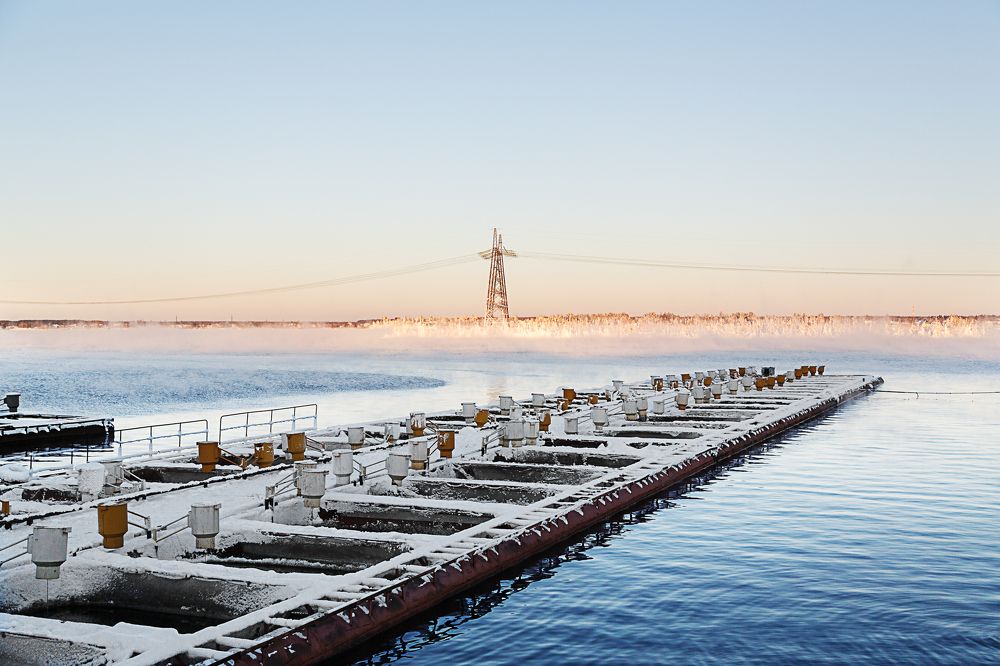 Photograph by Михаил