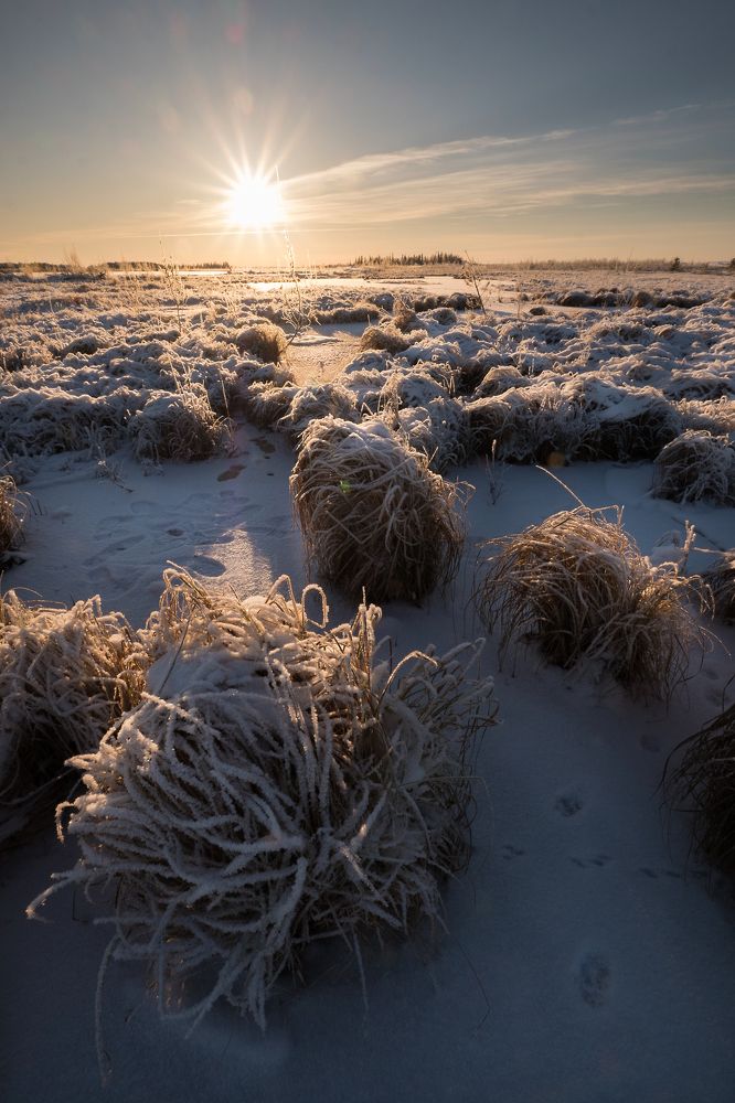 Photograph by Роман Грушевский
