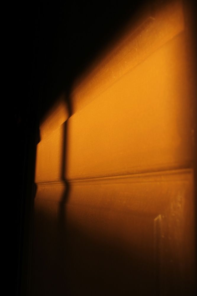 Photograph by Алина Лебедева