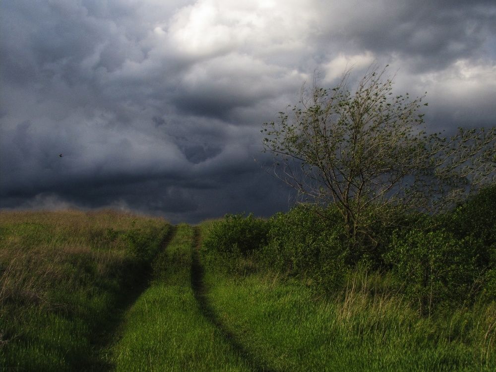 В грозовое облако...