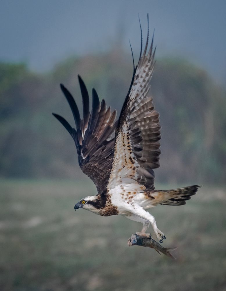 Photograph by Amrito Chakraborty