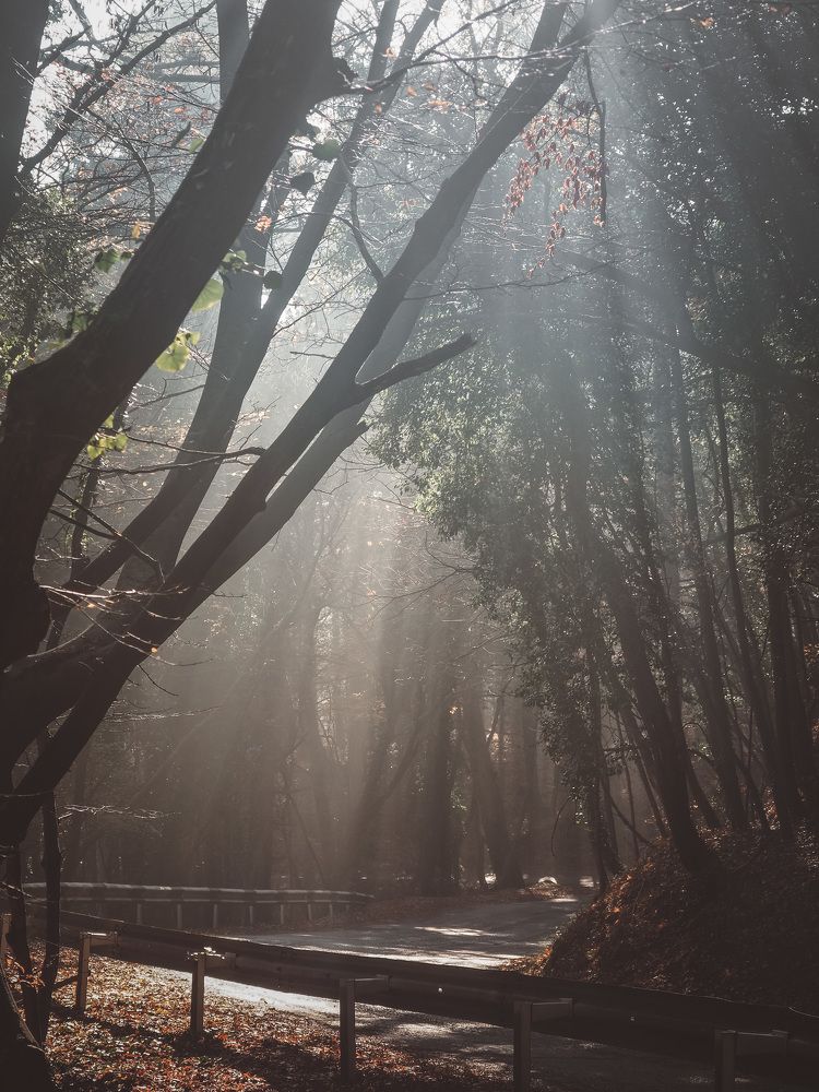Photograph by Анна Долгих