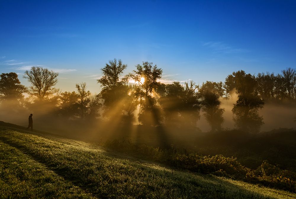 Photograph by Maja Tomić