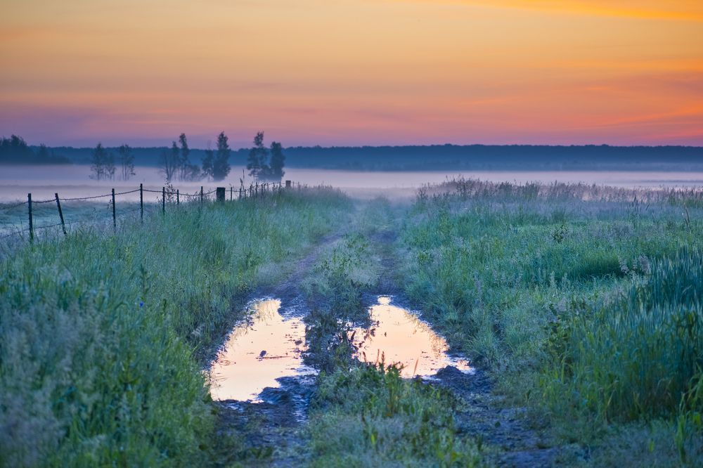Photograph by Дмитрий Жижин