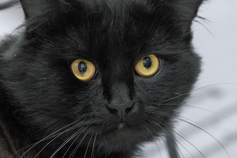 Photograph by Олег Архипов