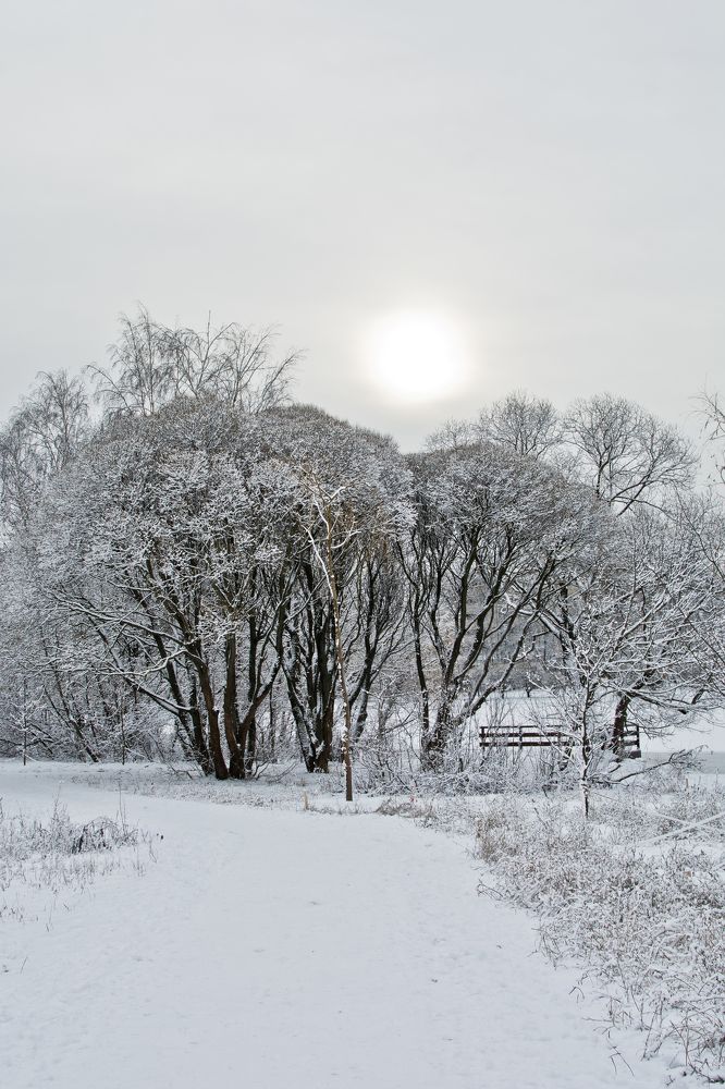Photograph by Дмитрий Жижин