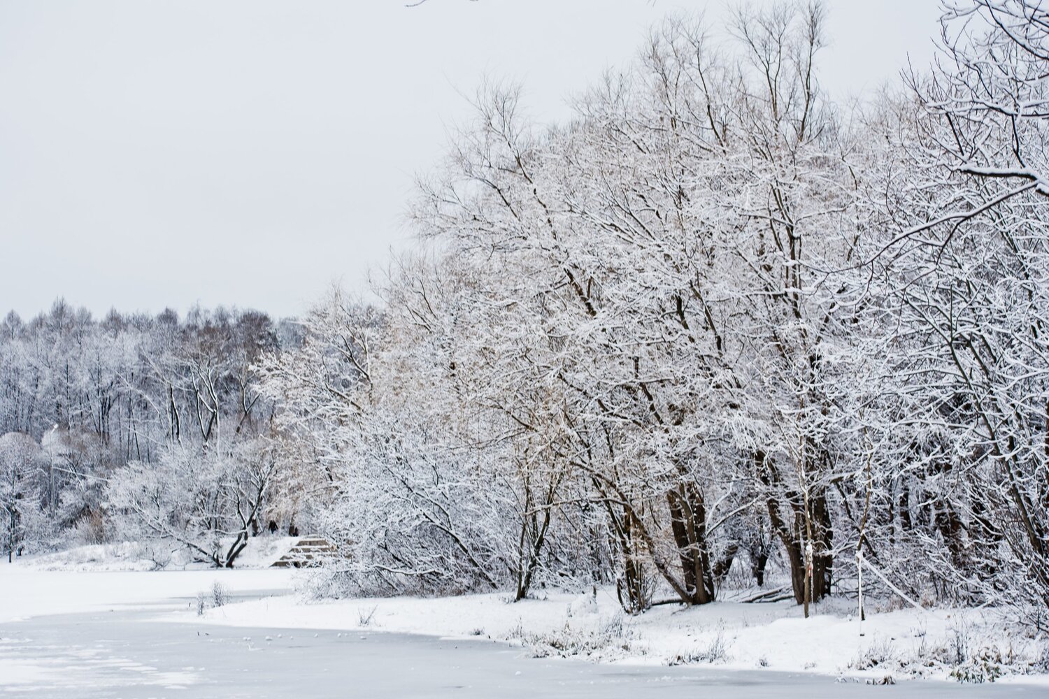 Photo #5603209