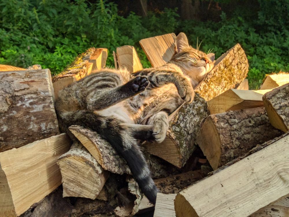 Photograph by Светлана Кондрашова