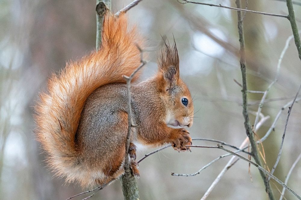 Photograph by Viktor Makarov