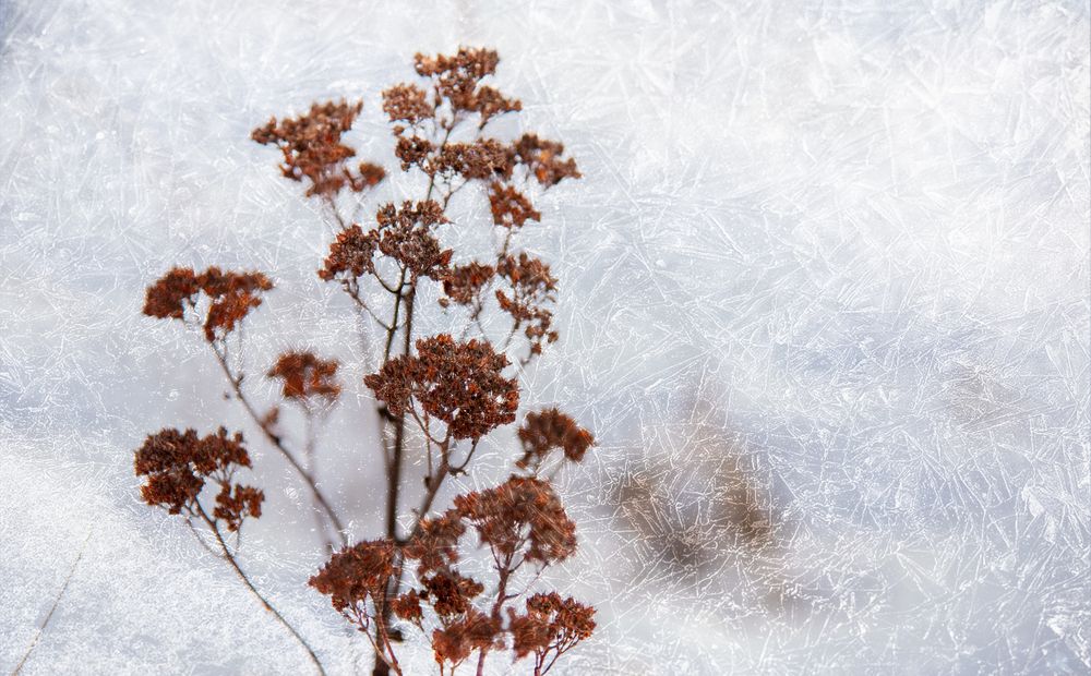 Photograph by Ольга Власенко