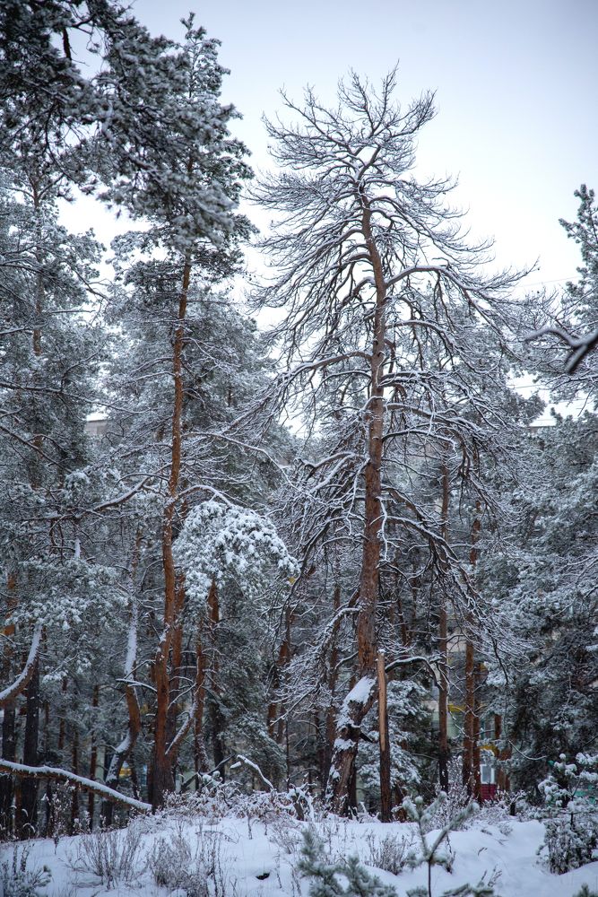 Photograph by Ольга Власенко