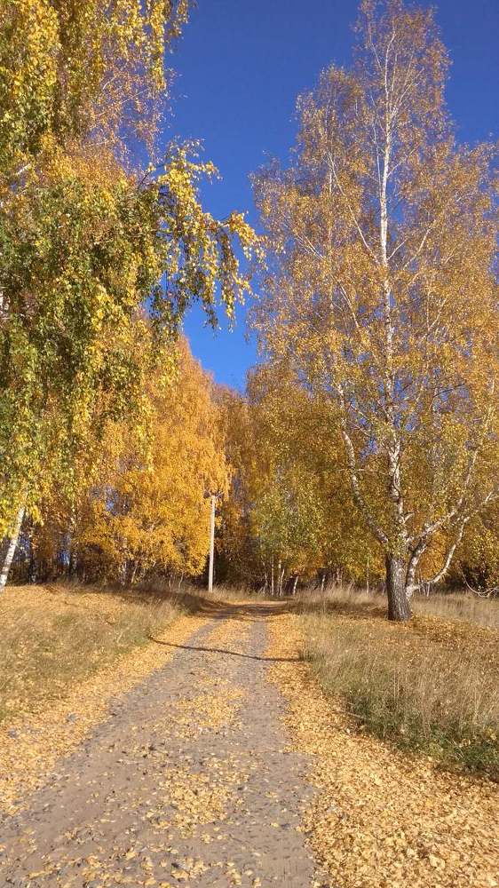 Photograph by Татьяна