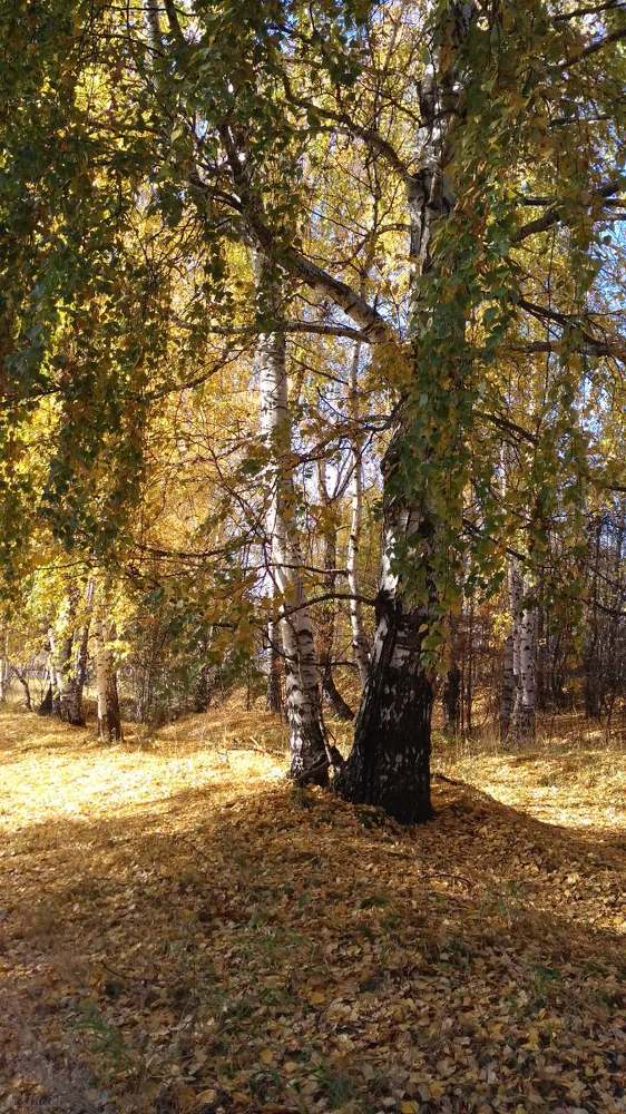 Photograph by Татьяна