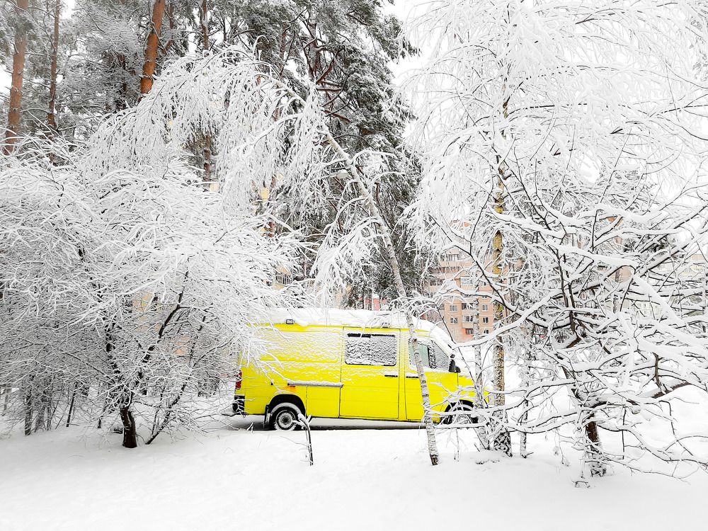 Фотография автора Ольга Никанович