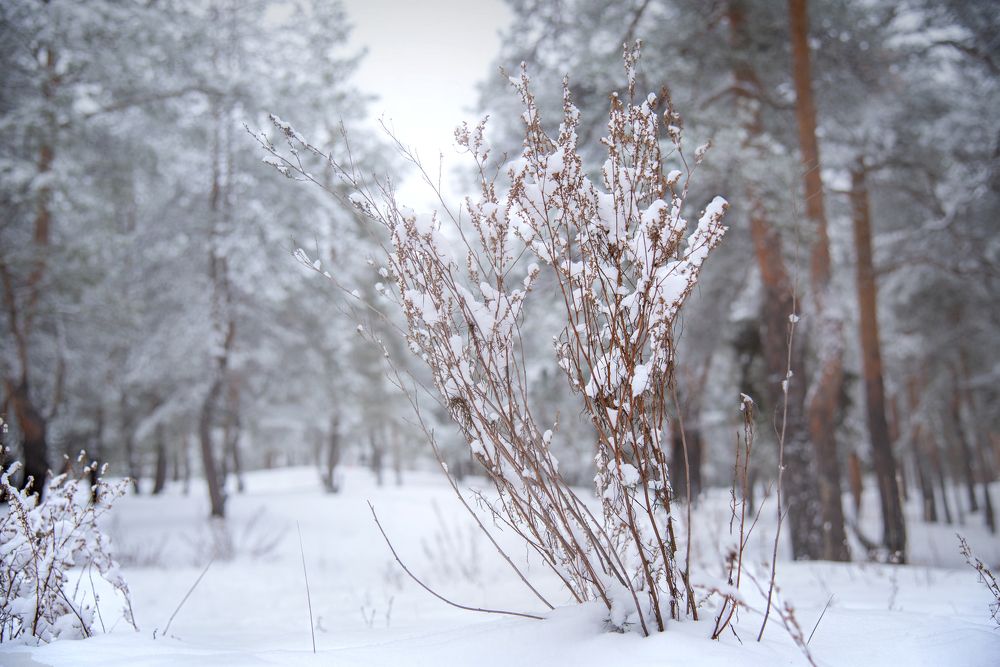 Photograph by Ольга Власенко