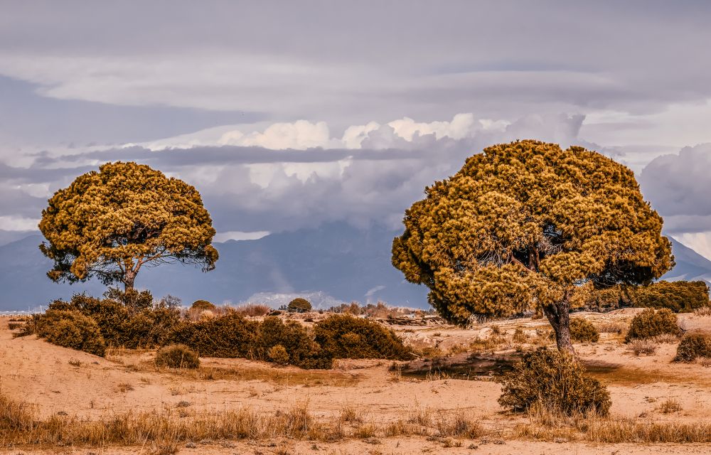 Photograph by Юлия Ковальчук