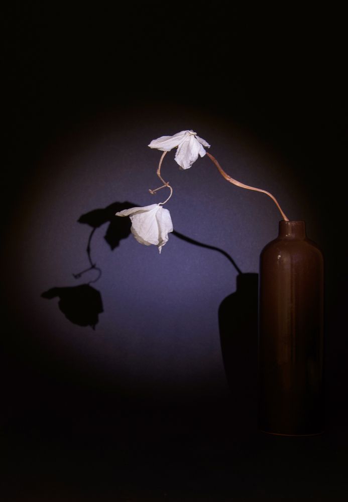 Photograph by Марина Крюкова