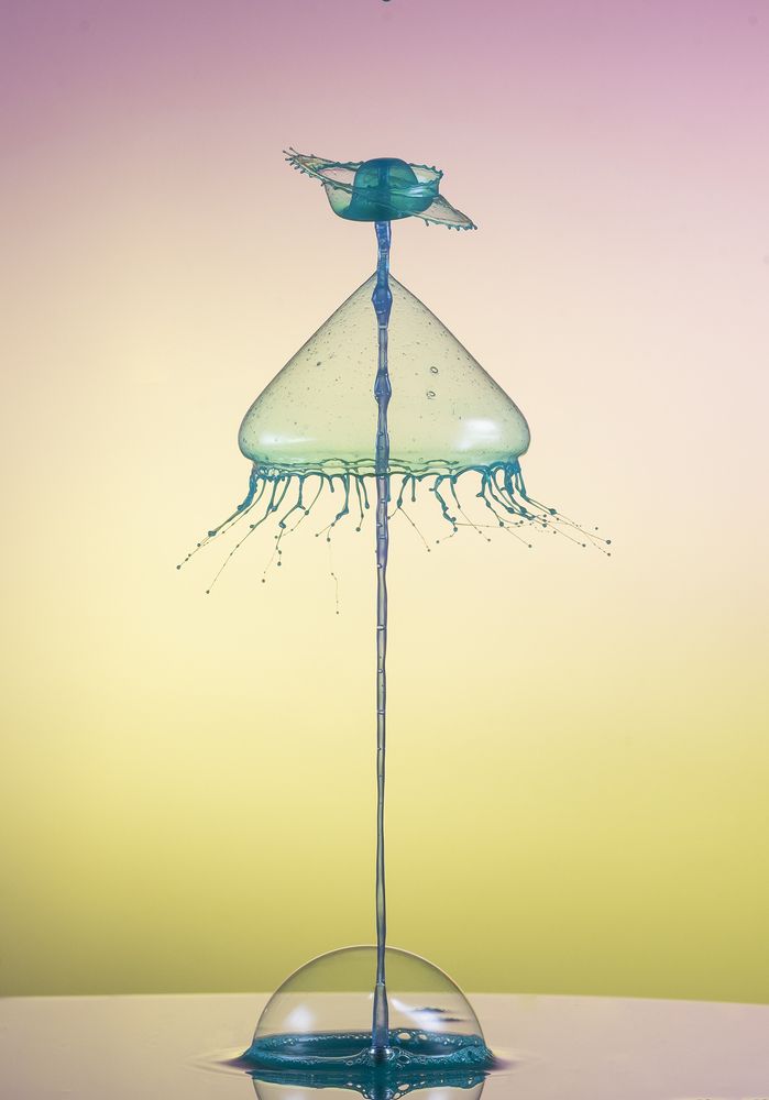 Photograph by mustafa yagci