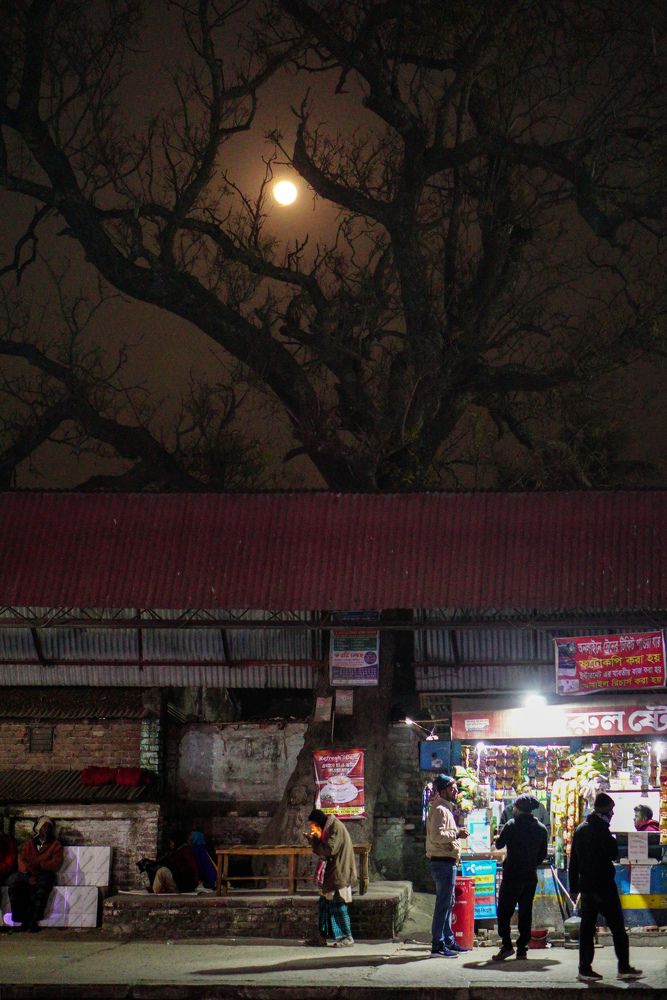 Photograph by Joy Ariyan Haque