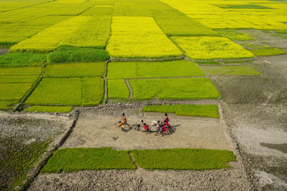 Photograph by Joy Ariyan Haque