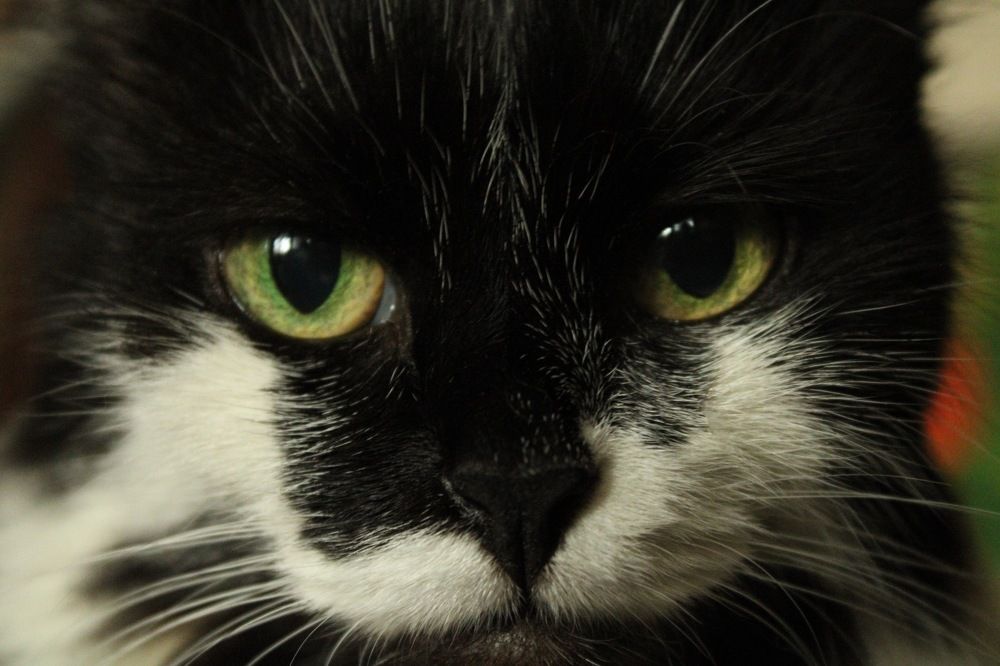 Photograph by Алина Лебедева