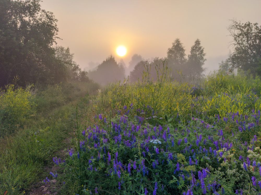 Photograph by Светлана Кондрашова