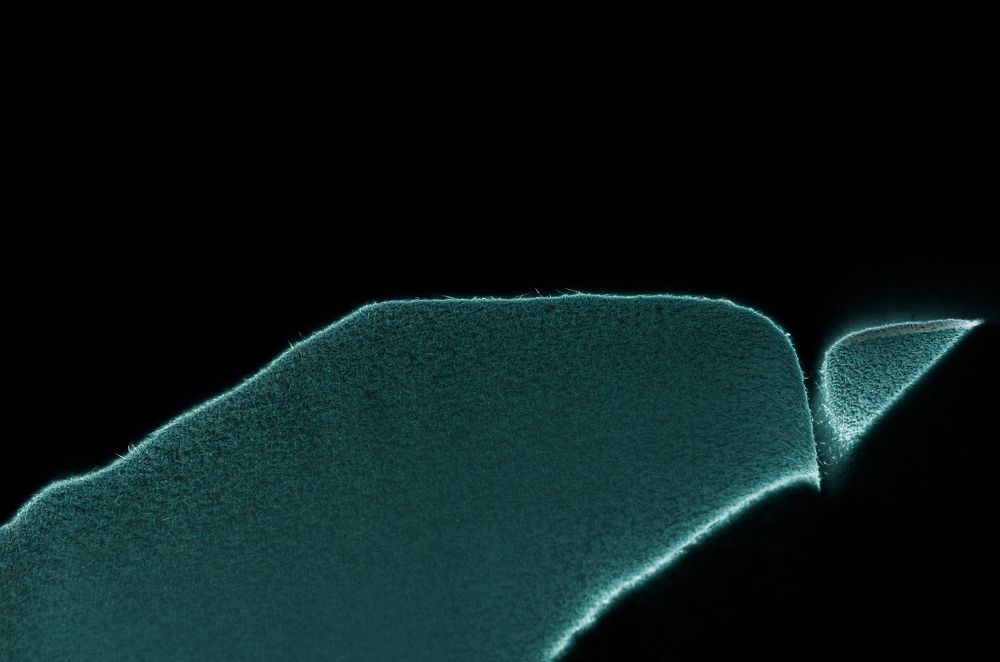 Photograph by Андрей Постников