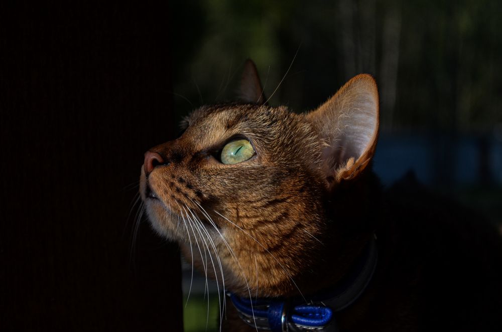 Photograph by Андрей Постников