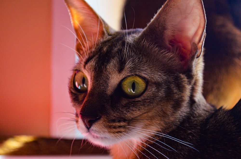 Photograph by Андрей Постников