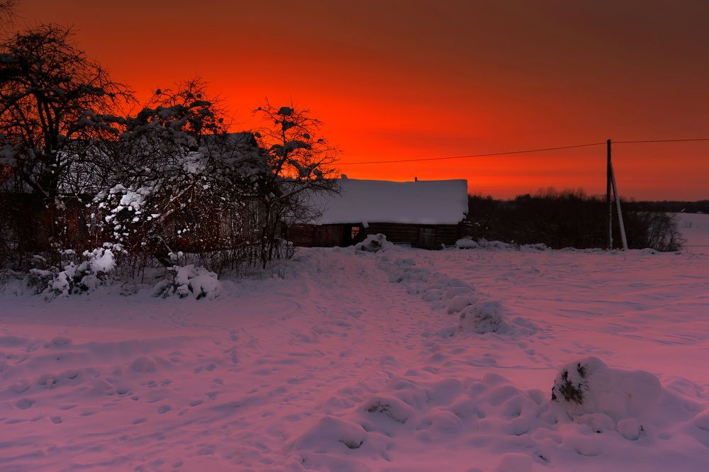 Photograph by Galina