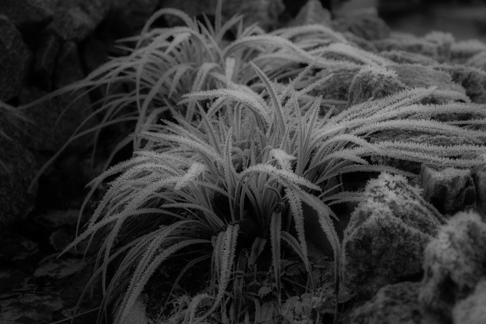 Photograph by Вадим Кондрат