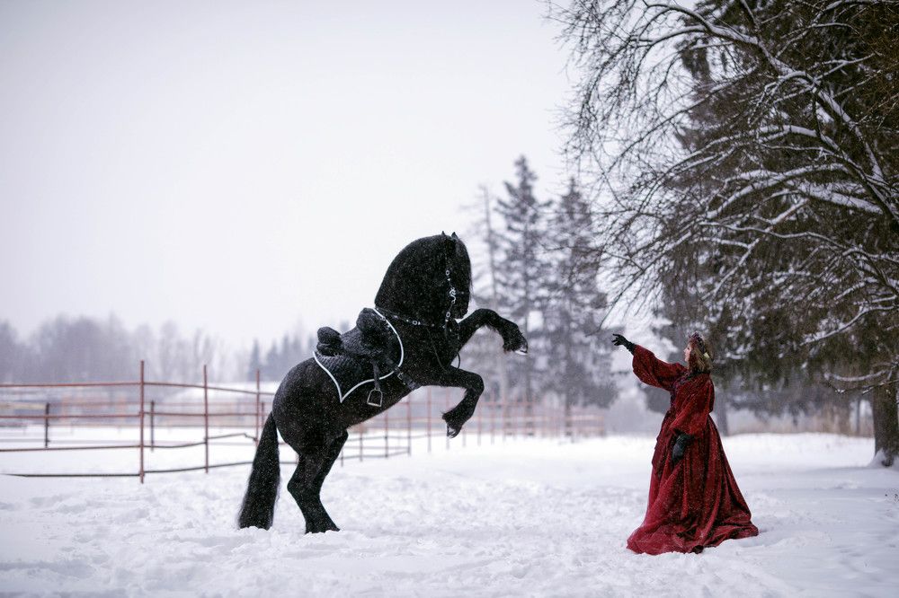 Зимняя сказка