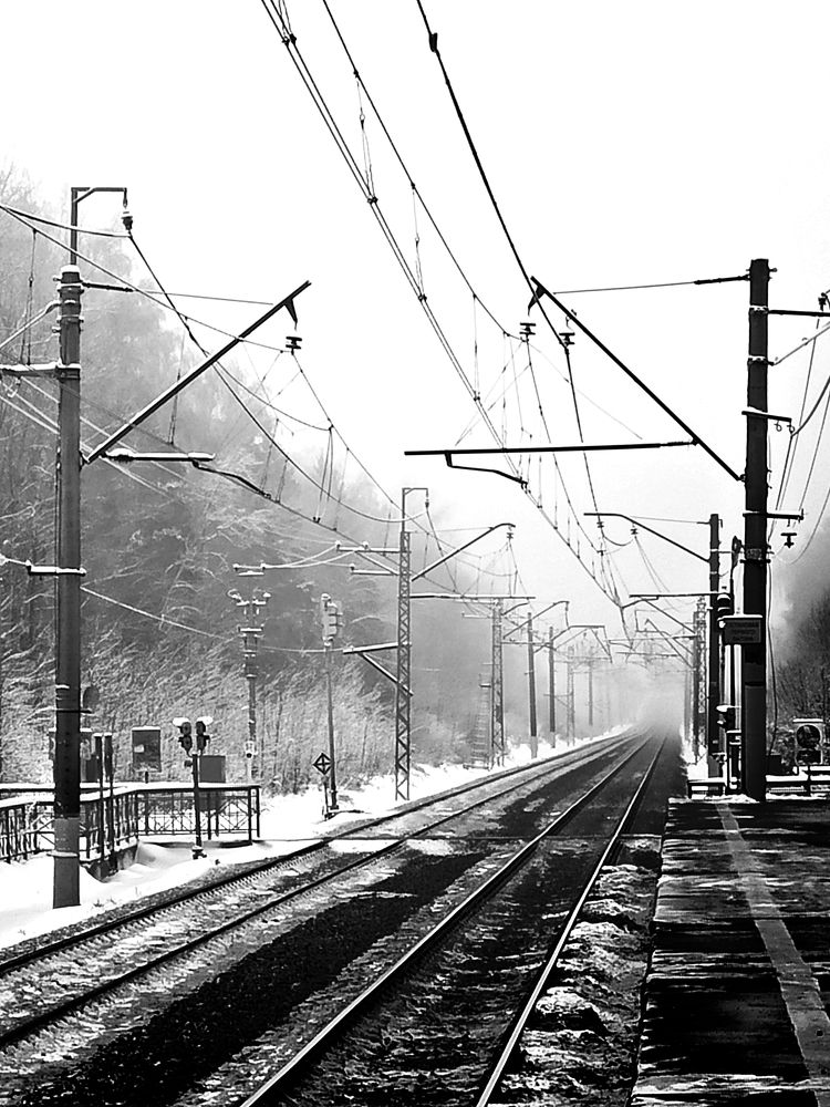 Photograph by Eлена Смирнова