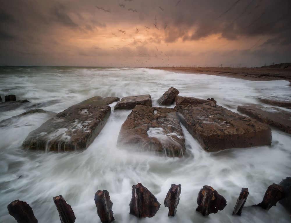 Photograph by Михаил Гапонов