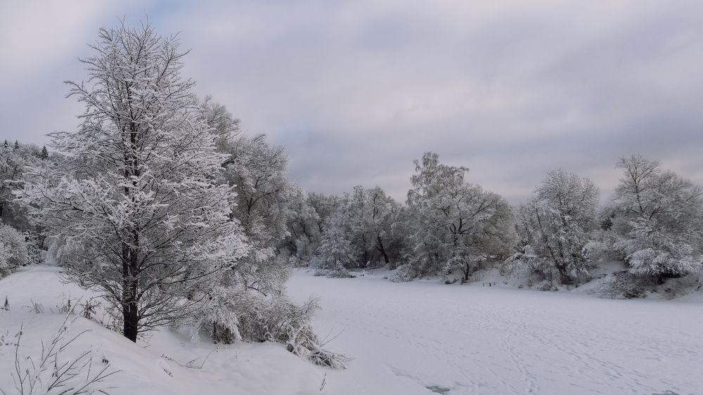 Photograph by Максим Мозжухин