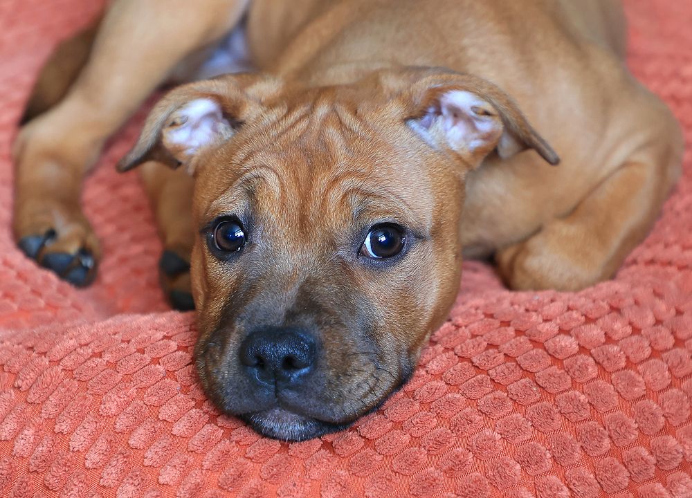 Взгляд в душу