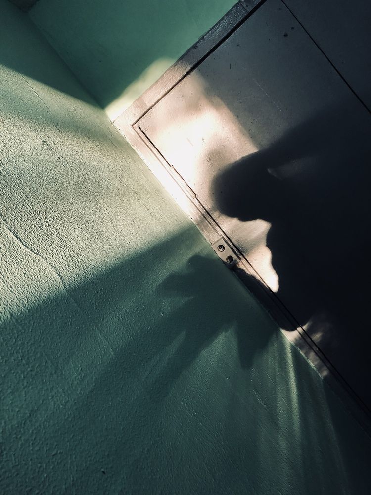 Photograph by Игорь Кулешов