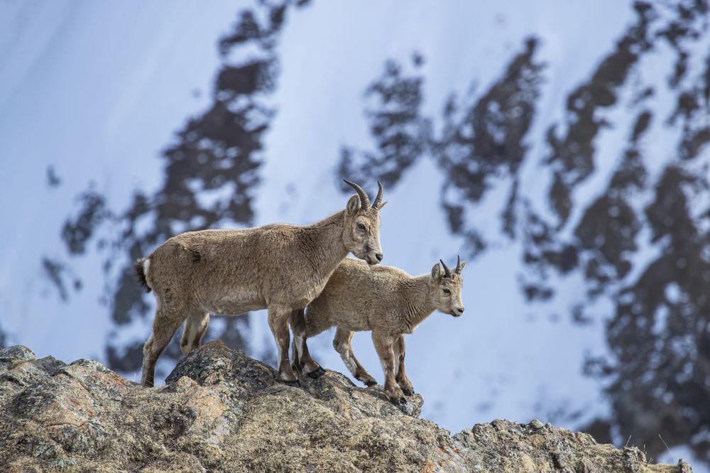 Photograph by Константин Кукушкин