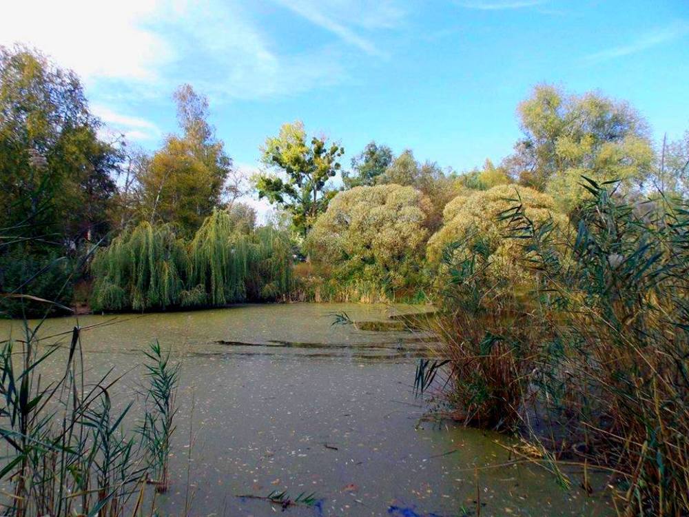 Photograph by Олександр Розум