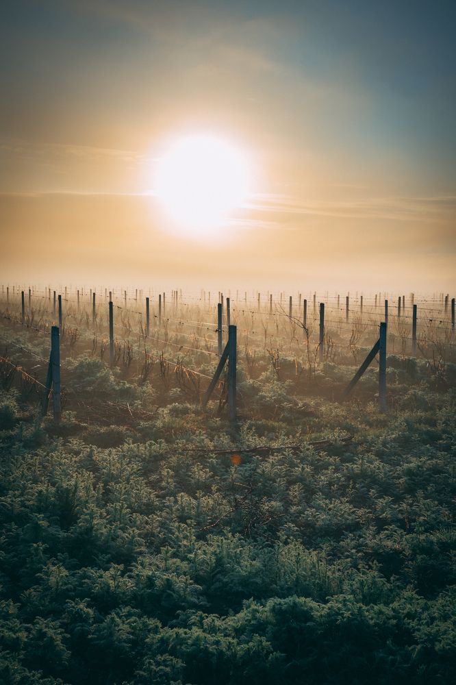 Photograph by Vahan Amatunyan