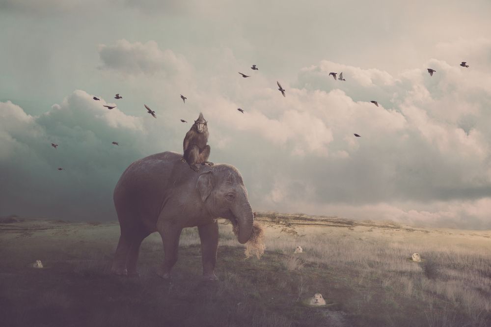 Photograph by mirka koot