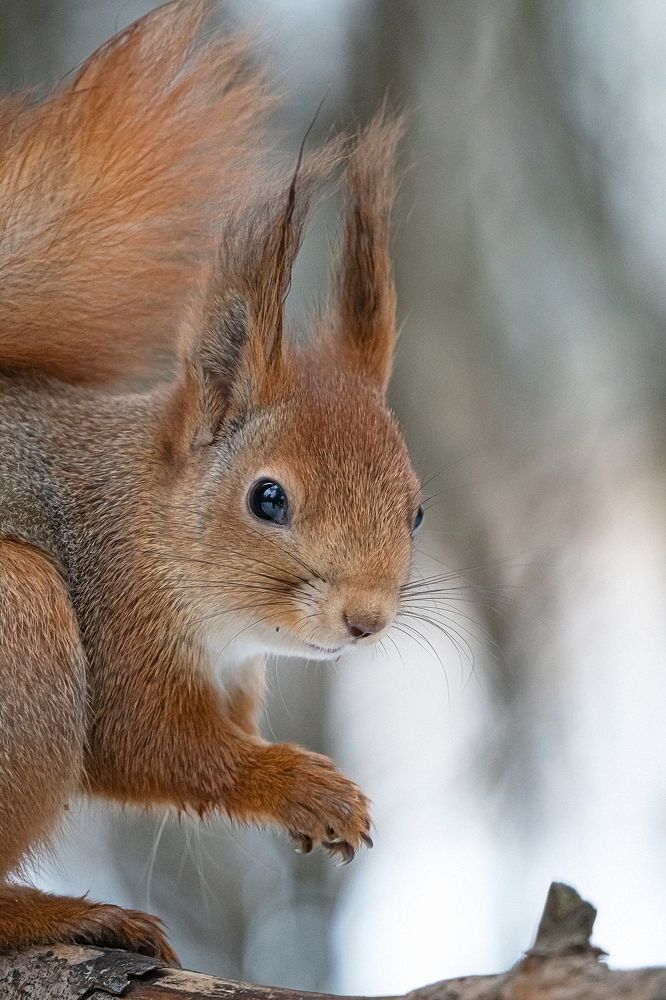 Photograph by Viktor Makarov