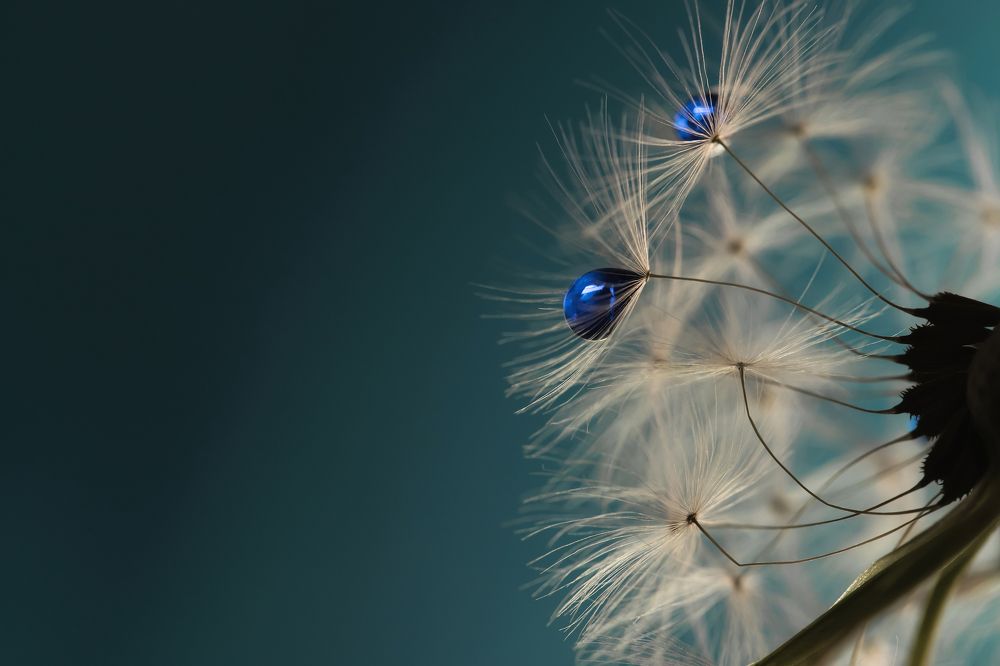 Холодная вода