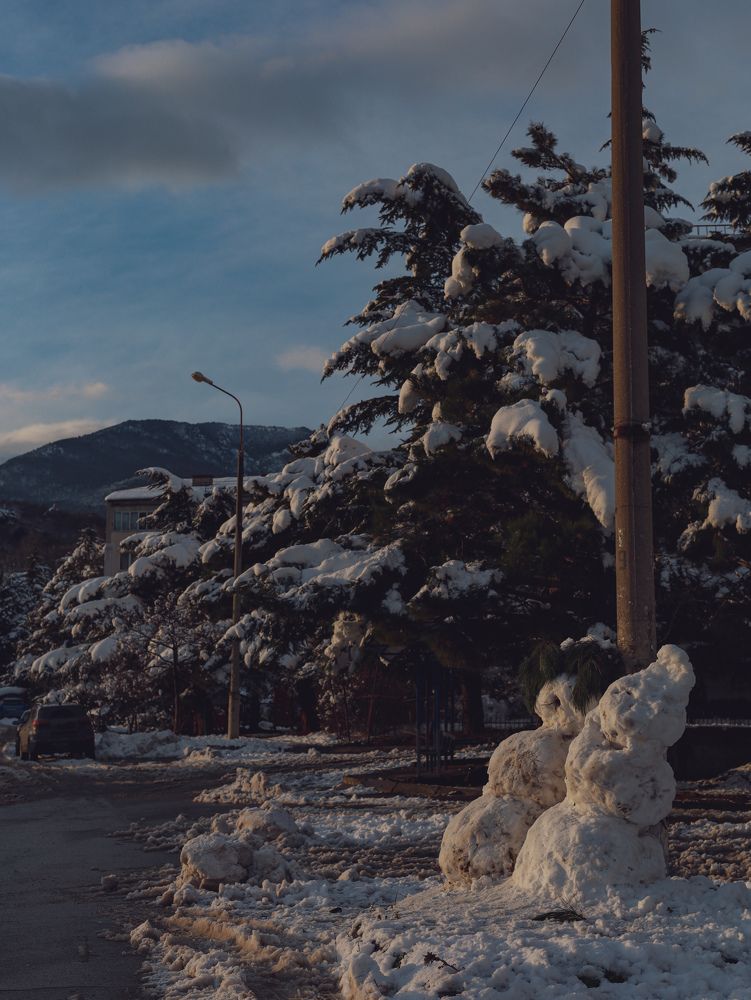 Photograph by Nadezhda Stoliarova