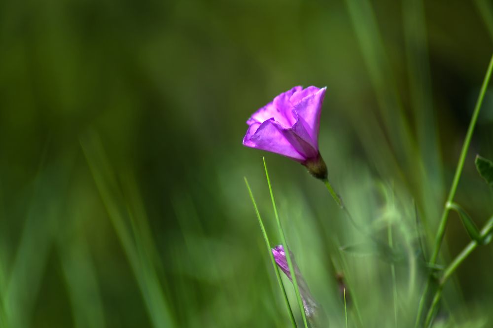 Photograph by Renatas Lileikis