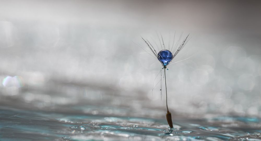 Бегущая по волнам