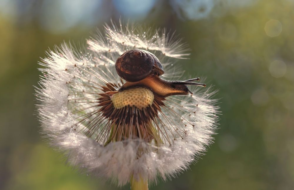 Доброе утро